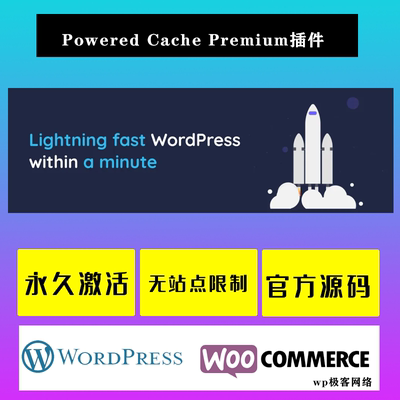Powered Cache Premium 汉化中文版 WordPress速度优化缓存插件