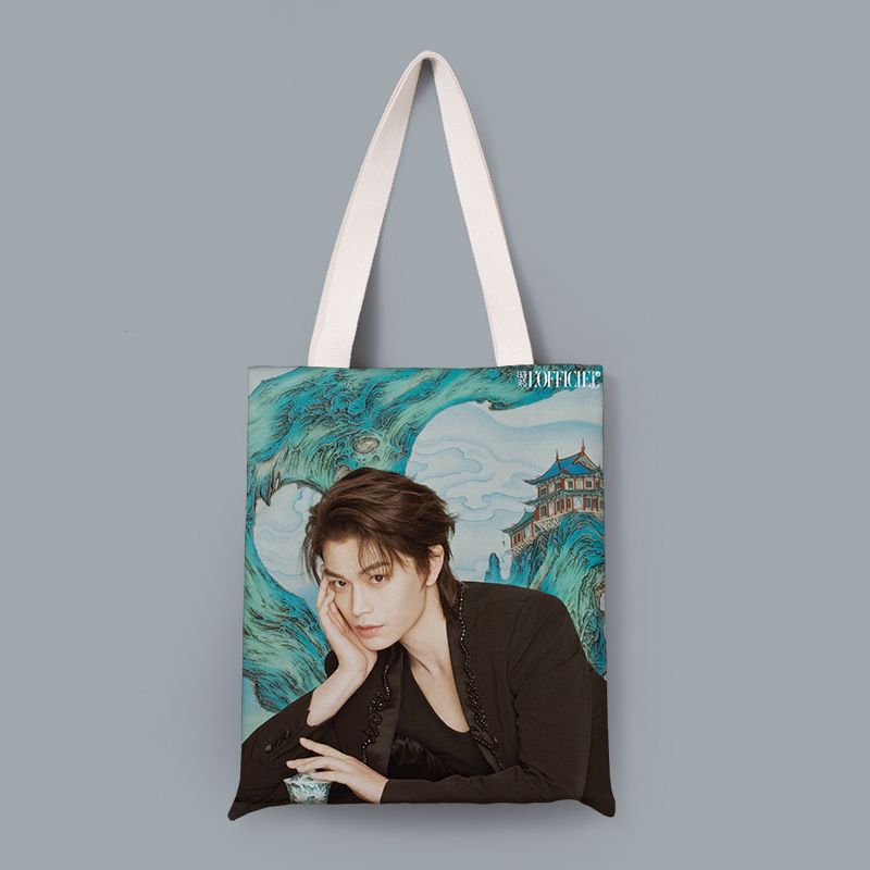 山河枕应援丁禹兮同款布包单肩帆布袋来图定制做明星手提包环保包