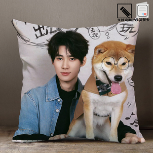 张真源应援奔跑吧周边明星同款两用抱枕被定制做学生生日礼物抱枕