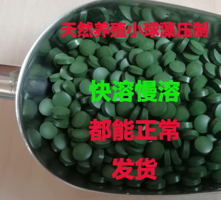 小球藻鱼食  快溶小球藻片速溶小球藻片皇冠直升机开口熊猫开口