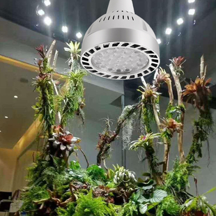 植物补光灯全光谱仿太阳光室内鱼缸爆藻绿植培养生长led植物射灯