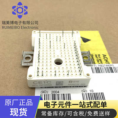 全新模块WGL25P120N3 VVZB135-16IOXT X2G200N30P1 VU050-12N03
