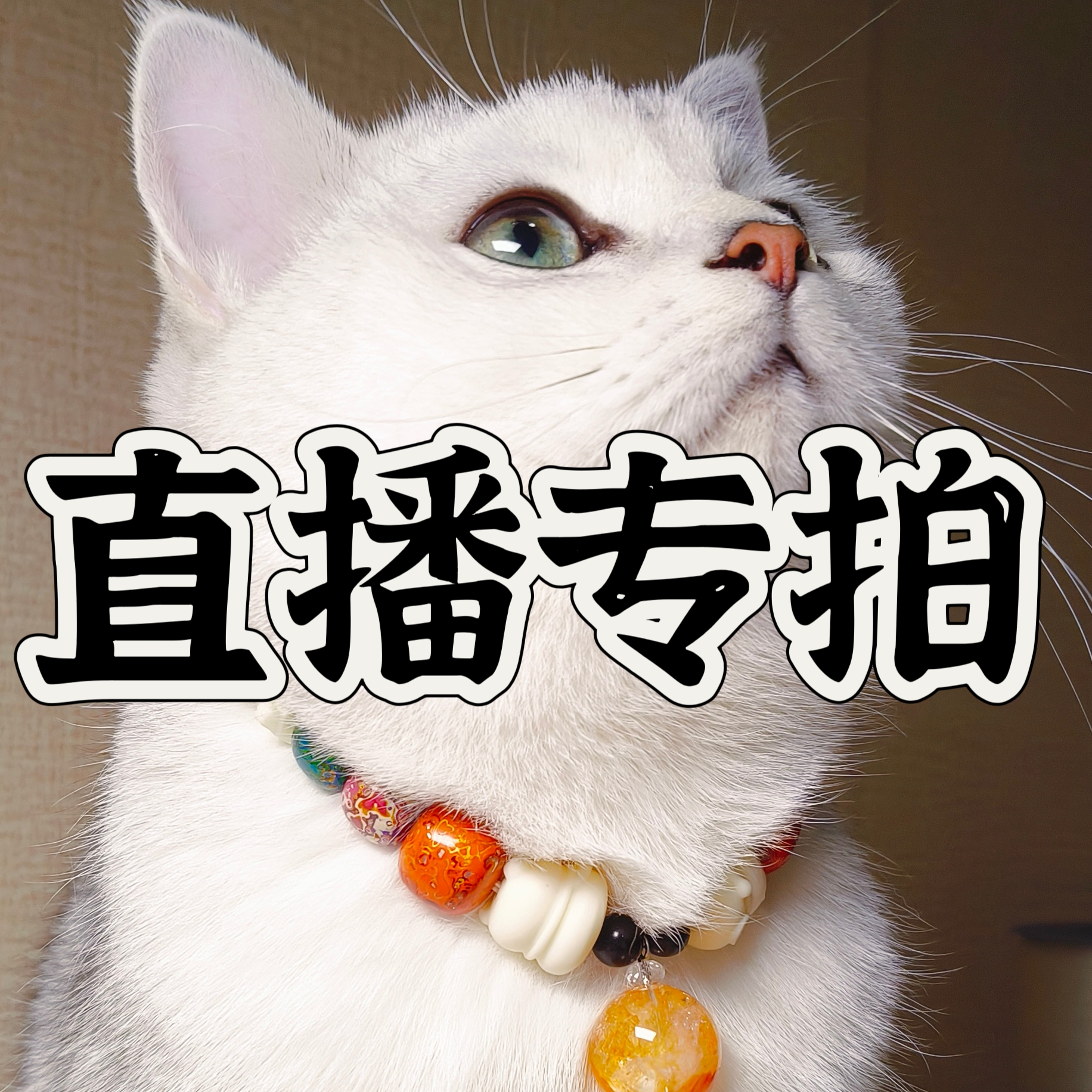 梦奇的手工坊直播diy配件串珠定制配件付款链接