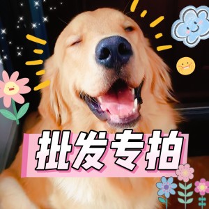 批发直播间全品类串珠配件付款链接