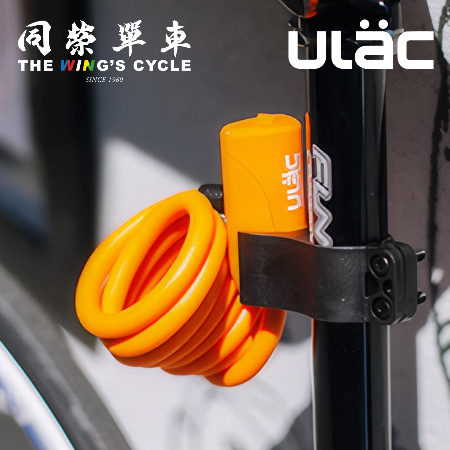ULACLock自行车密码钢缆卷锁