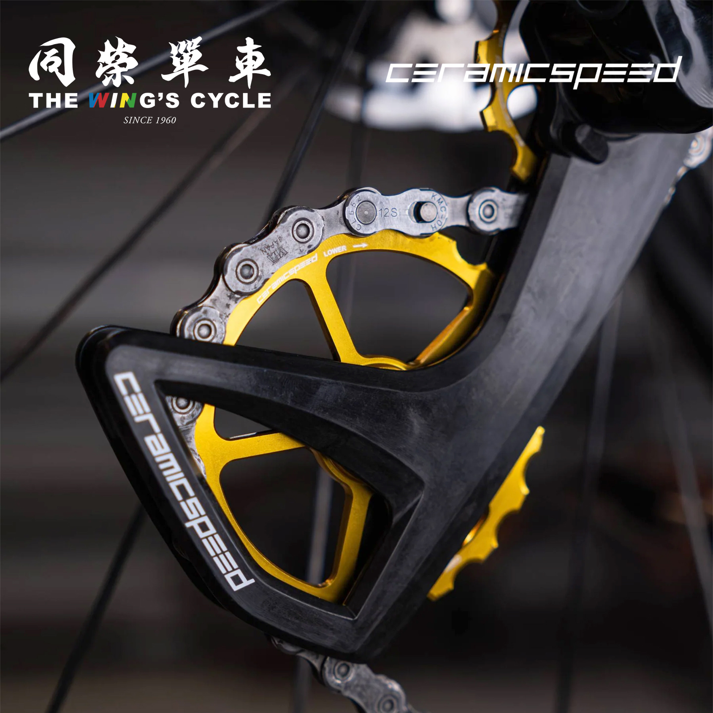ceramicSpeed公路车后拨大导轮