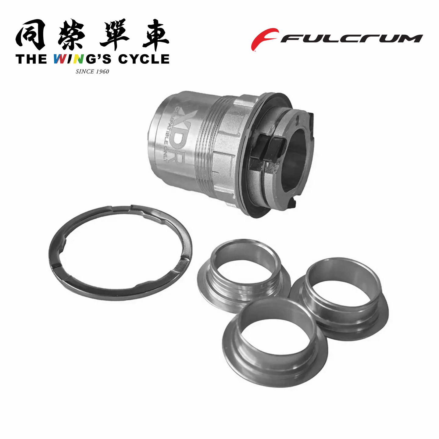 FulcrumCampagnolo塔基