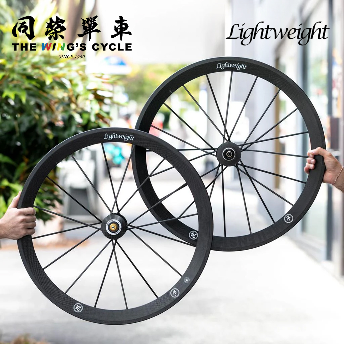 LightWeight自行车碟刹轮组