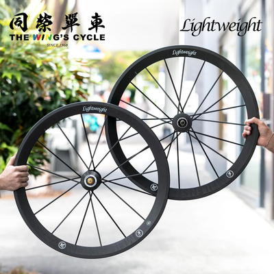 LightWeight自行车碟刹轮组