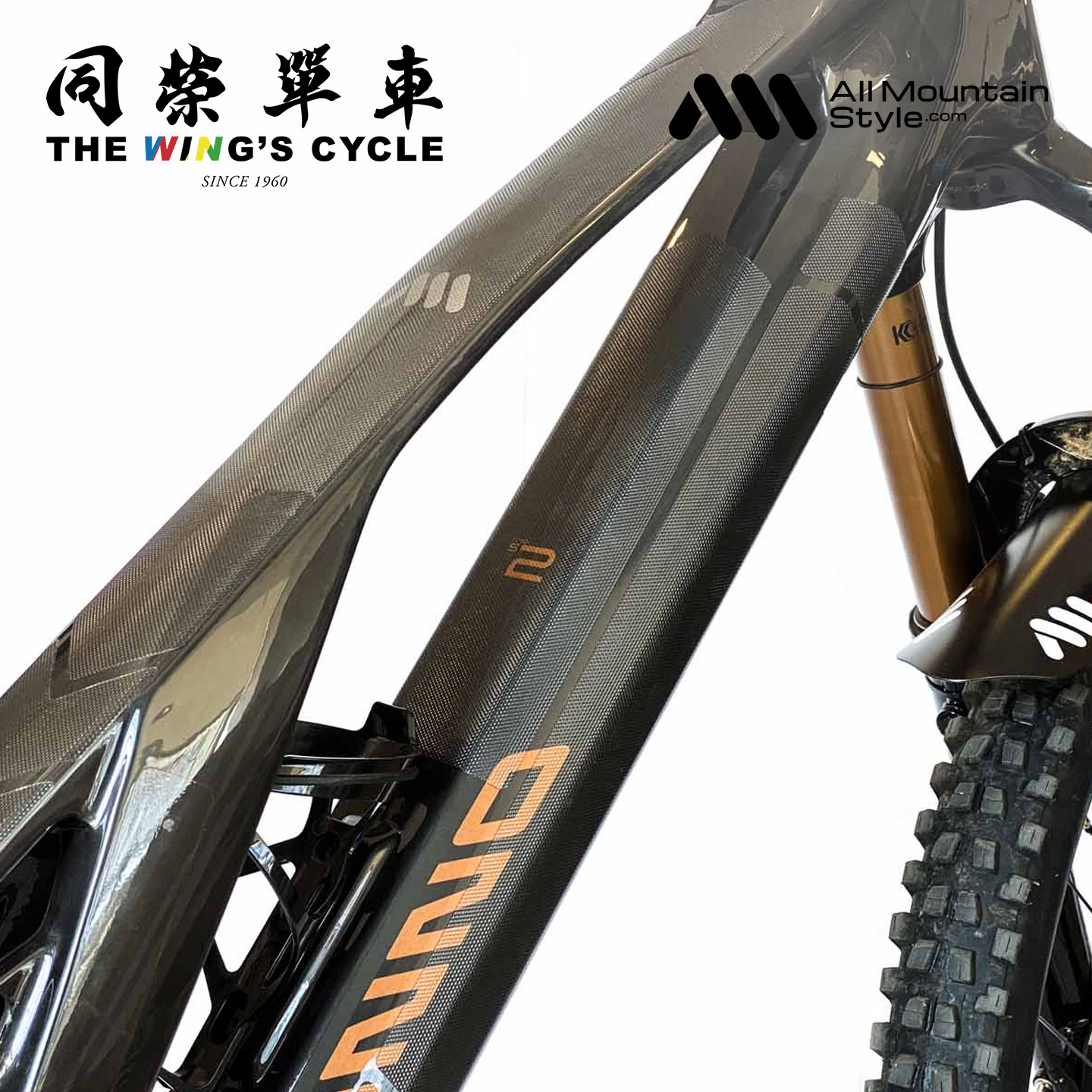 AMS 蜂巢状E-Bike车架保护贴全面防刮防磨通用电助力车版