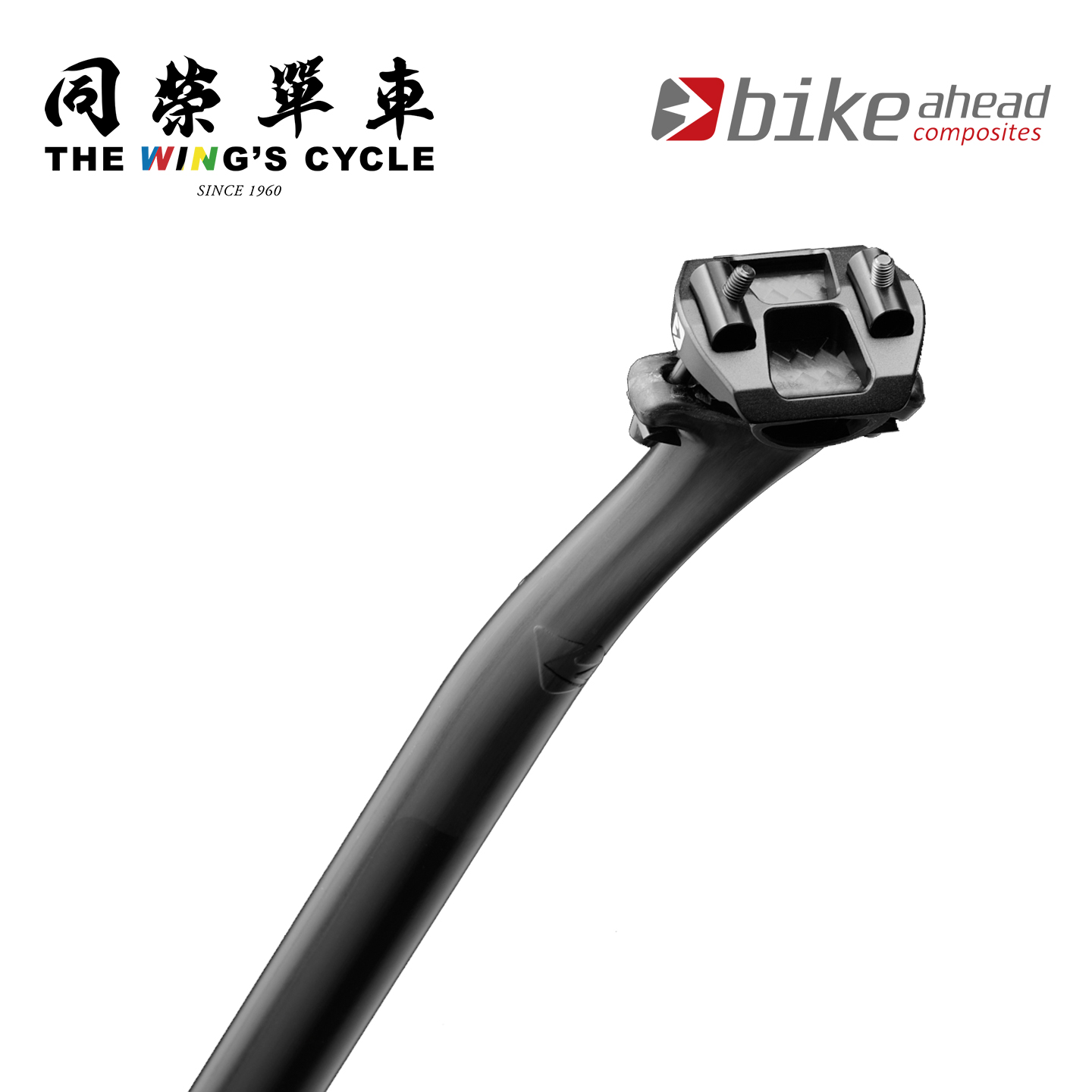 BikeAhead自行车座管碳纤维超轻公路山地车座杆直头/后飘15mm