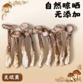 老菇婆 干货鹿茸菌脆脆菇无硫无碎无沙新鲜煲汤食材蘑菇