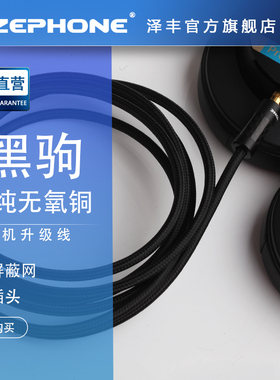 ZEPHONE泽丰黑驹高纯度无氧铜升级线视频拜亚DT270PRO