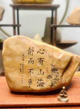 励志系摆件简约高颜值造景石哈密花盆茶玩茶道静心小众装饰品盆栽