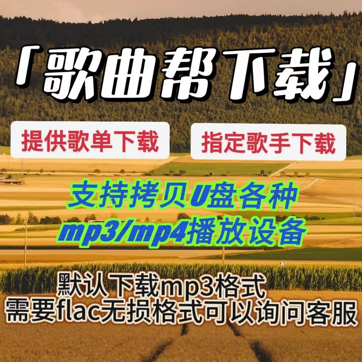 MP3代下载高品质歌曲付费歌曲人工找歌下载flac车载音乐格式转换 商务/设计服务 设计素材/源文件 原图主图