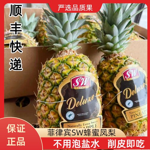 菲律宾进口SW黑钻凤梨树上熟