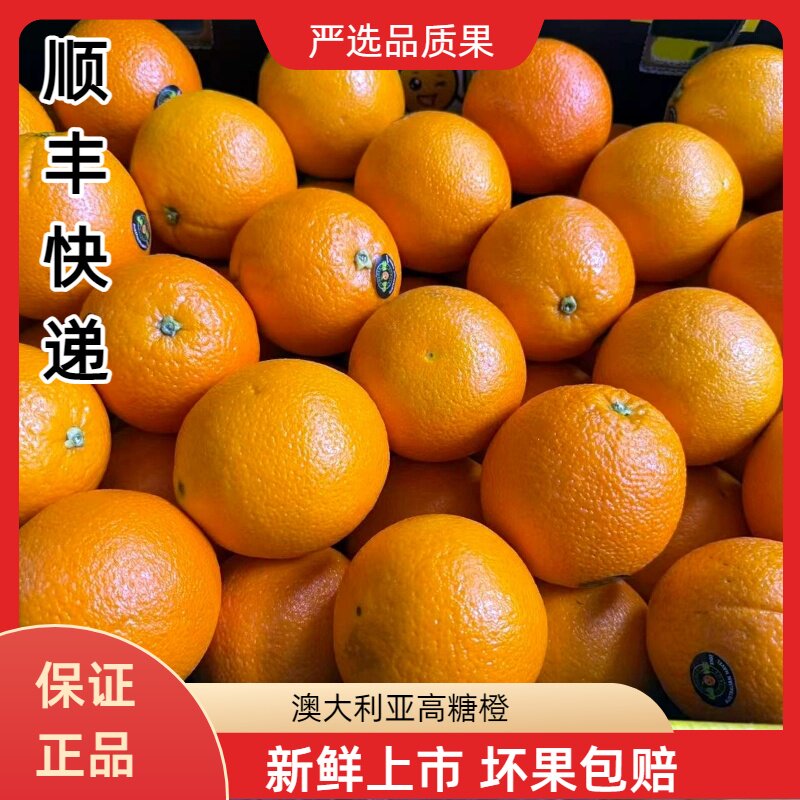 澳洲进口高糖脐橙当季鲜多汁