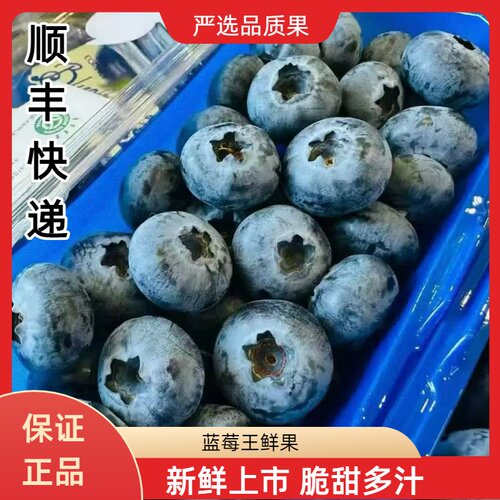 当季限量超大蓝莓王脆甜多汁