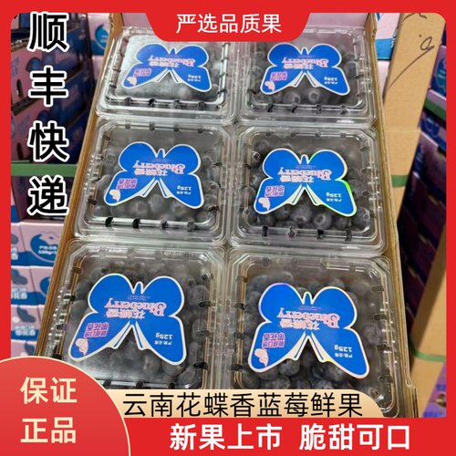 云南雪山恬蓝莓玉龙雪山稼沃蓝莓鲜果当季脆甜蓝莓125g/盒顺丰