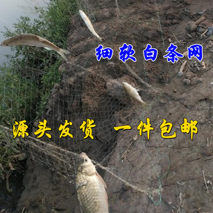 细丝柔软单层浮网1指白条粘网单层沉网鲫鱼渔网餐条鱼网6789分1寸