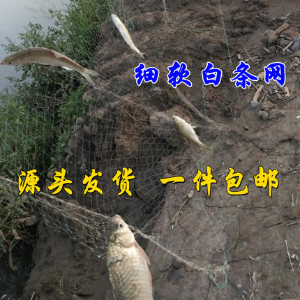 细丝柔软单层浮网1指白条粘网单层沉网鲫鱼渔网餐条鱼网6789分1寸