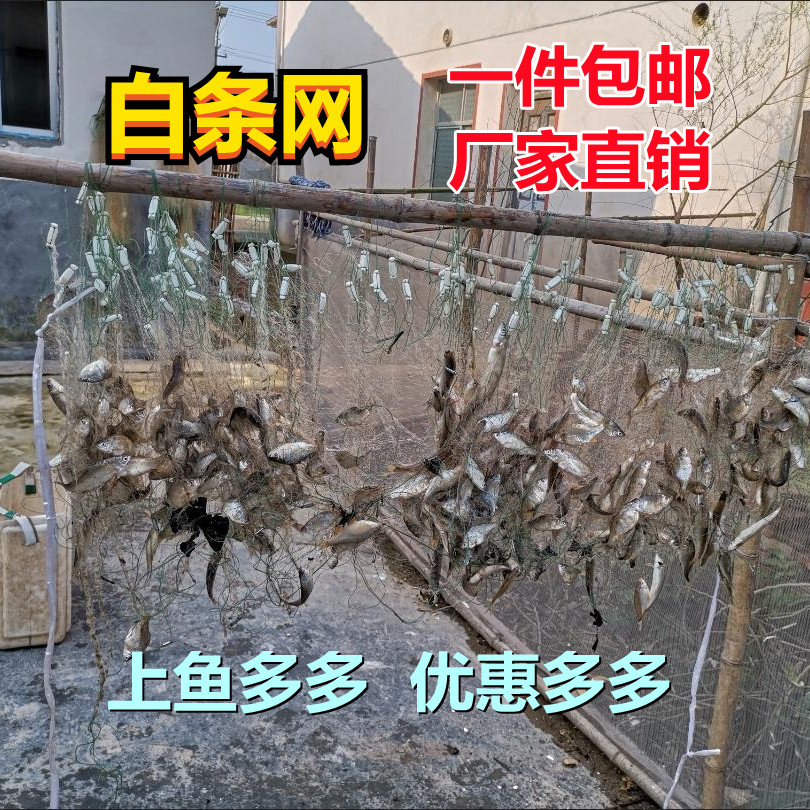 白条马口粘网渔网单层鱼浮网白条1指渔网鲫鱼细丝6789分1寸沾渔网 户外/登山/野营/旅行用品 鱼网/虾笼/其它渔具 原图主图