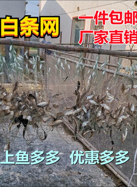 单层单层鱼浮网白条1指渔网细丝