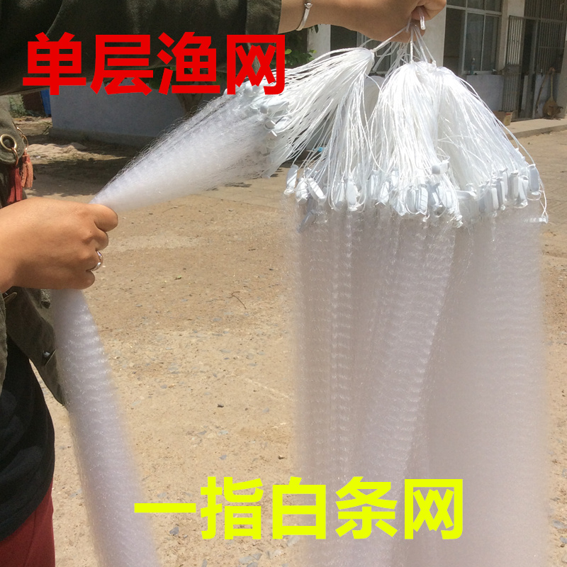 单层沉网浮网粘网捕鱼网单层白条