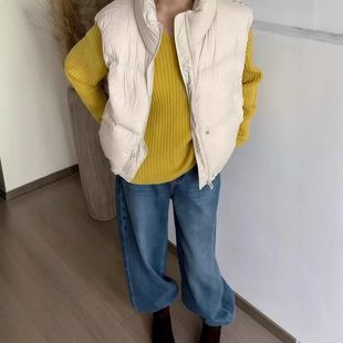 女款棉服韩国羽绒2026拆袖可新款短款小个子立领马甲服厚棉衣面包