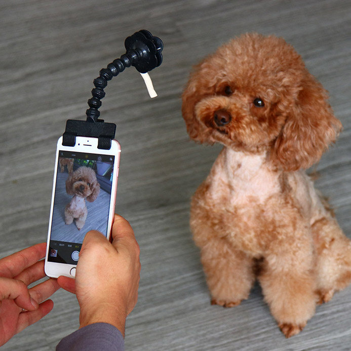 抖音网红宠物玩具狗狗自拍摄影泰迪贵宾猫狗看镜头手机夹子