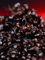 Black ant dried Chinese medicinal material, wild black ant from Changbai Mountain, homemade health wine, can grind 500g of black ant powder thumbnail 2