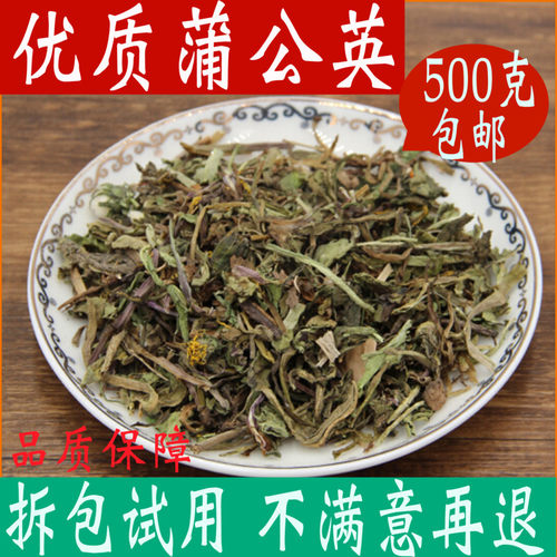 蒲公英一斤装中药材大全店可磨粉