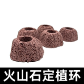 山形打孔水草定植平底固定种植鱼缸水榕透气底座打孔火山石水草定