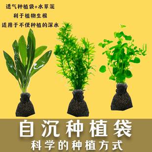 水草定植袋沉水植物固定懒人水草无需底砂池塘深水鱼缸专用定植器