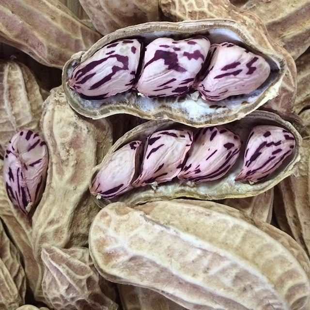 新货七彩花生五彩花生米粒云南黑花生可以发芽500克原味包邮