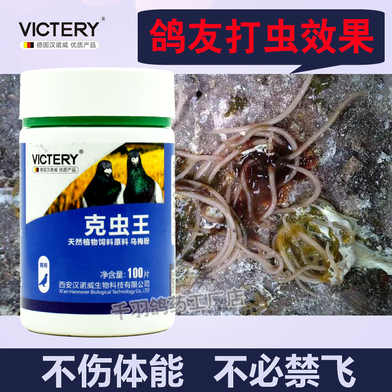 鸽药克虫百虫清鸽子药大全打虫药驱虫体内虫全虫清赛鸽信鸽常见病