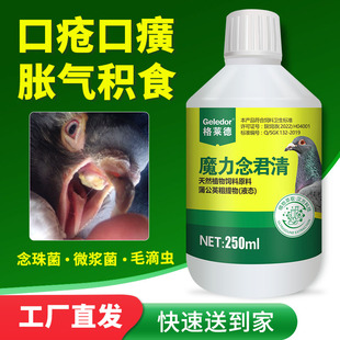 格莱德鸽药白色念珠菌清信鸽子药品大全毛滴虫口黄专用常见病赛鸽