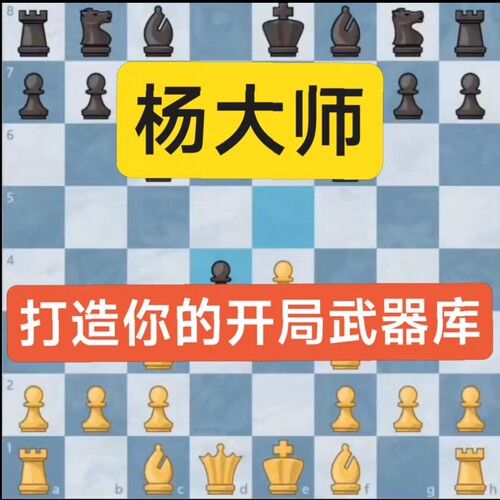 国际象棋开局武器卡罗康后兵王兵中高级培训视频微课棋协大师网课