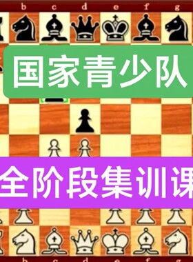 国际象棋视频教程国家少年队集训课谢军余少腾特技大师初中级自学