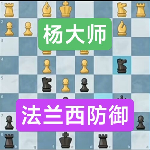 法兰西防御国际象棋开局超越视频教学微课堂儿童培训中级课程自学