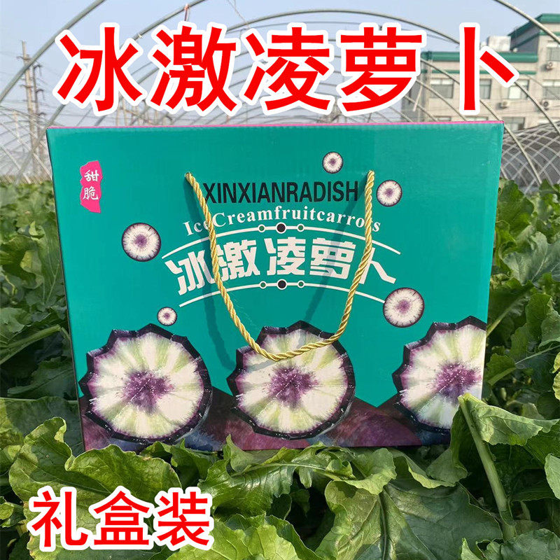 [10斤礼盒装]冰激凌水果萝卜纯甜不辣老潍县萝卜潍坊冰糖心冰淇淋
