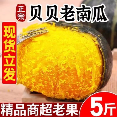 惠和一号贝贝南瓜老南瓜