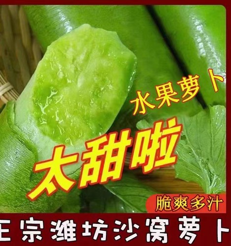 潍坊水果萝卜正宗潍县水果萝卜夏庄青萝卜脆甜萝卜新鲜水果蔬菜 - 封面
