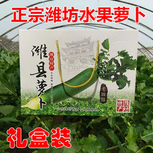 [10斤礼盒装]潍坊特产潍坊水果萝卜潍县青萝卜山东特产送礼夏庄