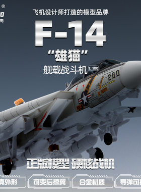 美式战机1:100f14雄猫飞机模型战斗机F15F18F22海盗旗中队VF-84