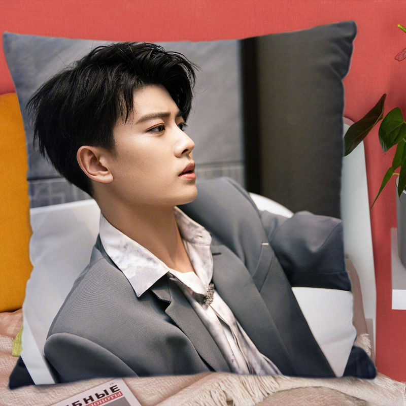 任嘉伦周边抱枕创意应援物闺蜜生日礼物可爱来图定制枕头宿舍靠垫