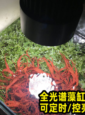 全光谱可调光藻缸灯定时LED模拟日出日落海水珊瑚底缸养藻爆藻灯
