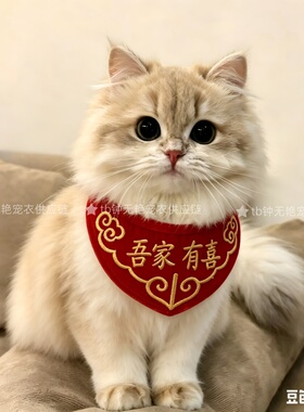 婚礼宠物围脖猫咪狗狗红色喜字口水巾装饰喜庆毛线围巾结婚三角巾