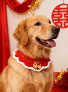 新年双喜结婚狗狗猫咪口水巾
