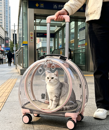 透明航空箱拉杆箱新款便携
